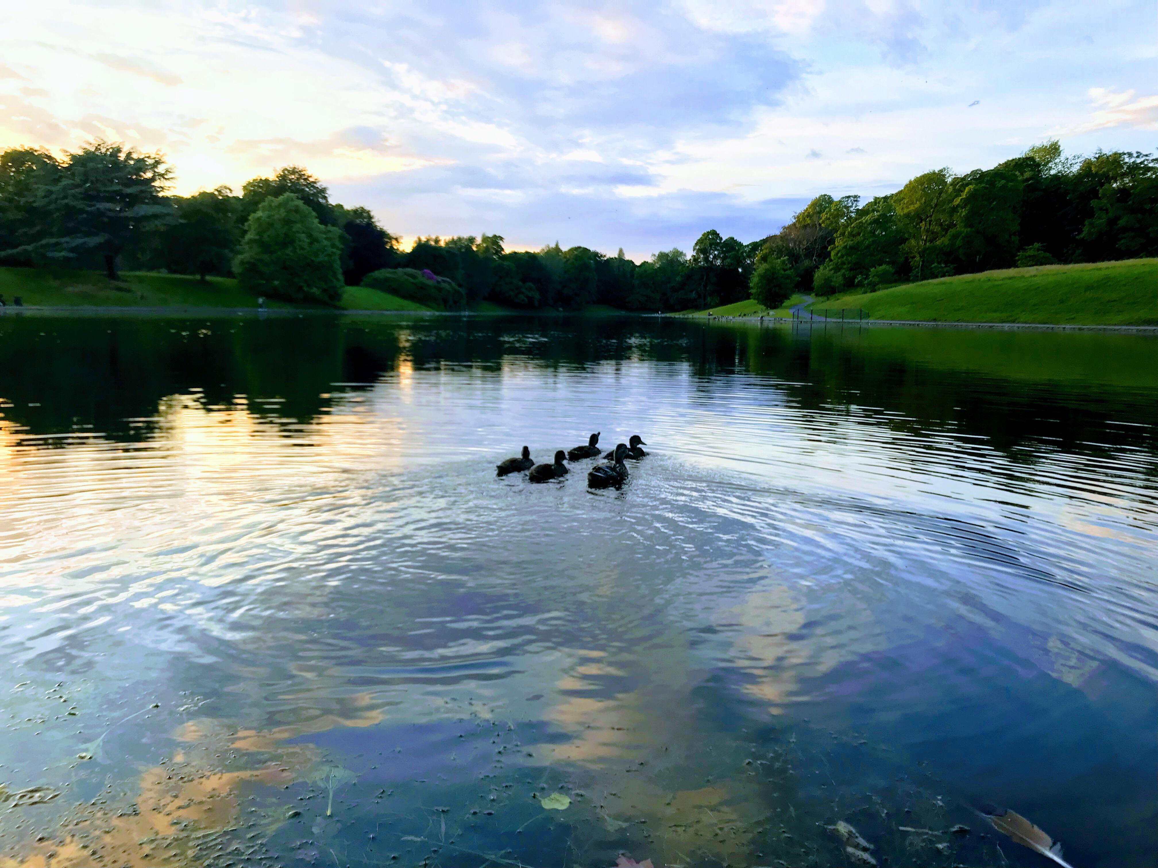 Sefton Park Hotel Liverpool Ngoại thất bức ảnh